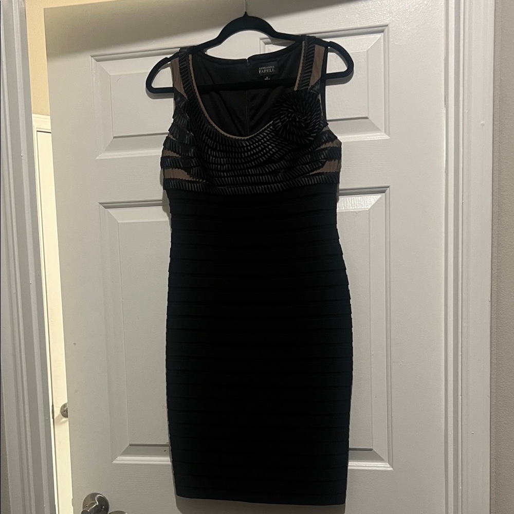Adrianna Papell Black and Tan Mini Dress